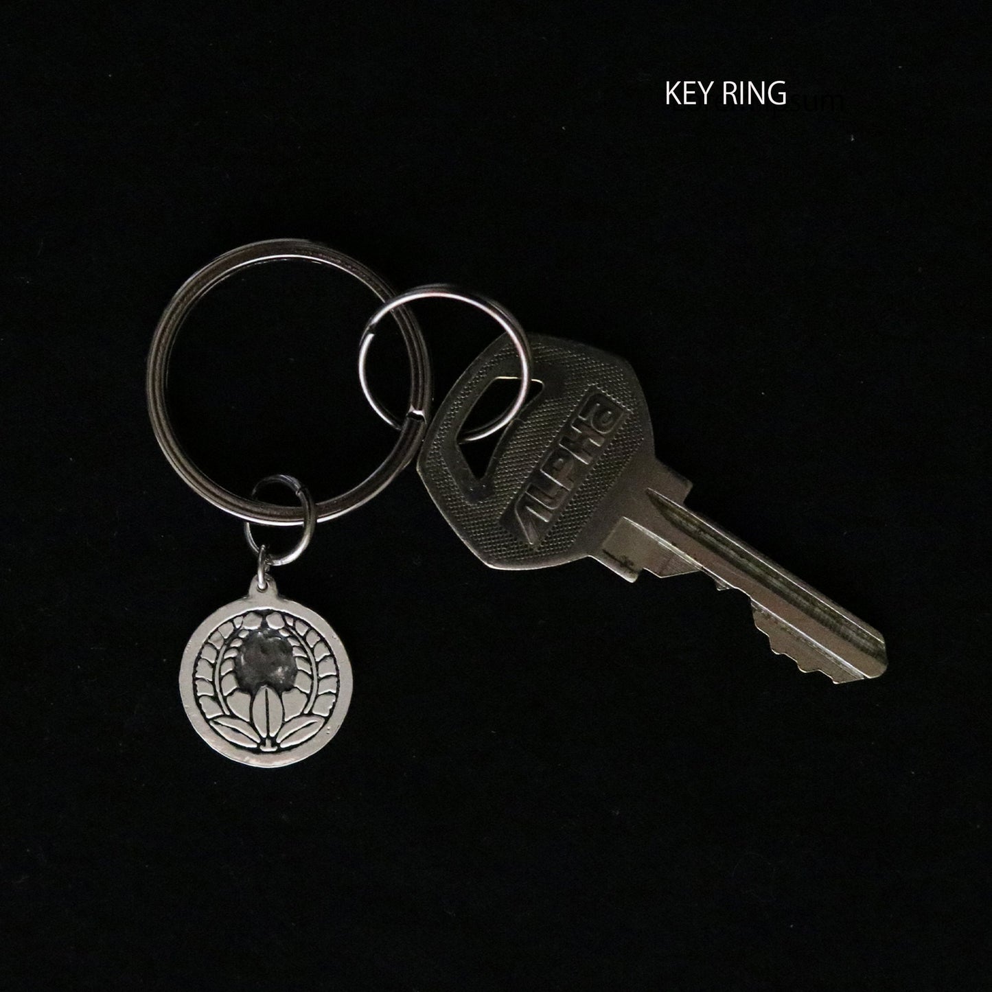 Wisteria Going Up Key Holder- Silver