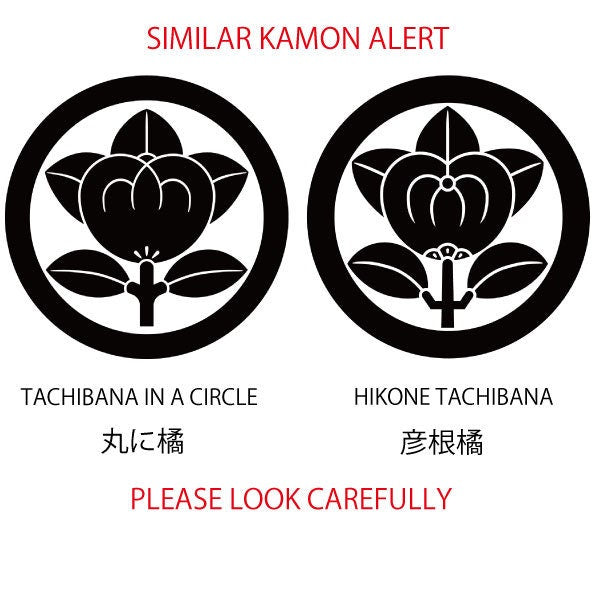 Mandarine orange in a circle - Kamon- Japanese Clan Crest - SIlver Tie tack / Lapel Pin