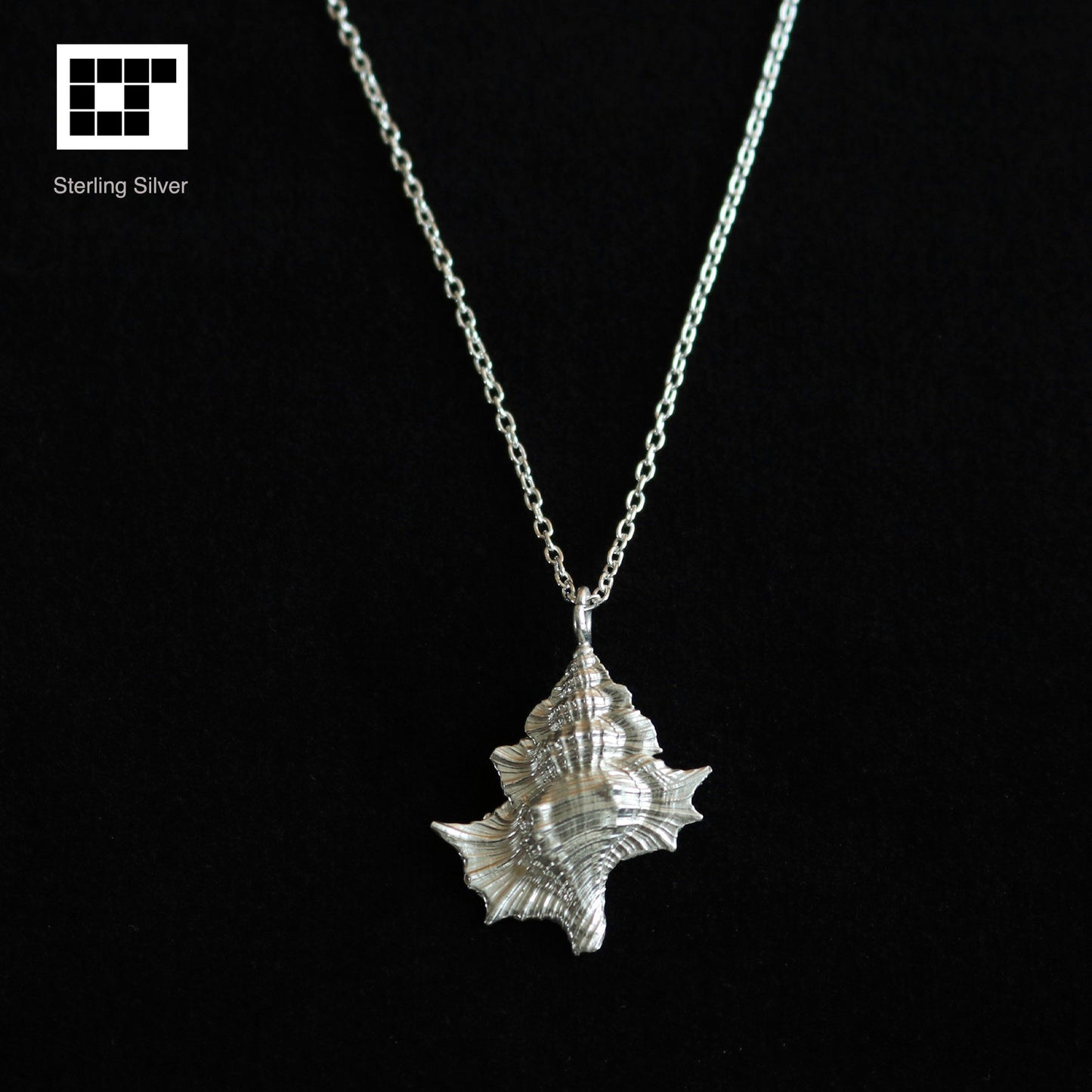 Shell pendant