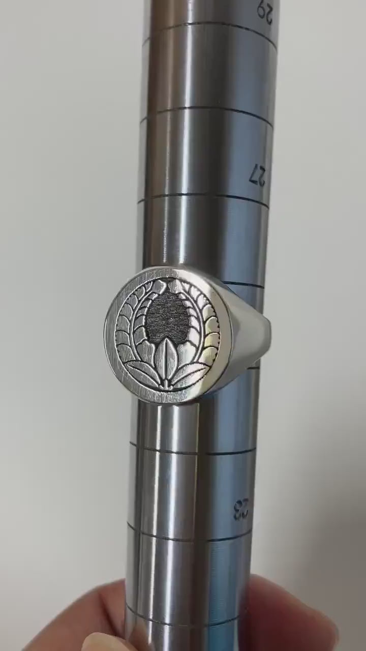 Wisteria Going Up in a circle - Silver Solid Ring